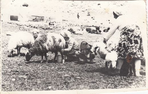 The Sargsyan family album, Khachik, Armenia