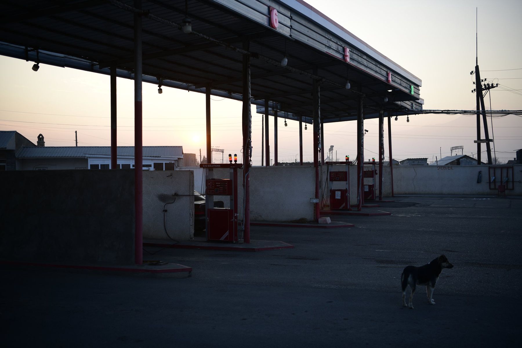 An empty petrol station at dusk, a stray dog crossing the forecourt