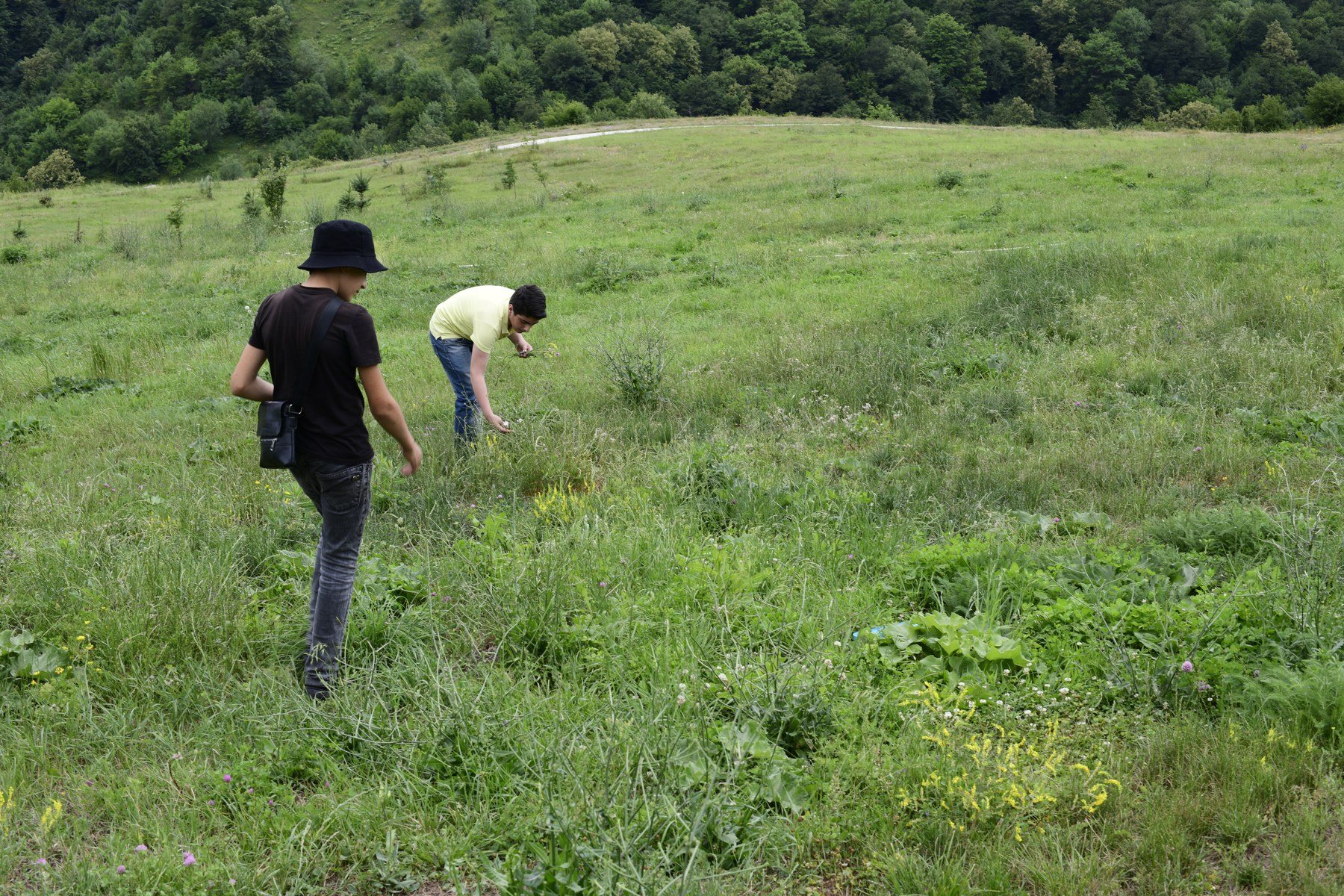 Two teenagers bend down in long grass, gathering plants
