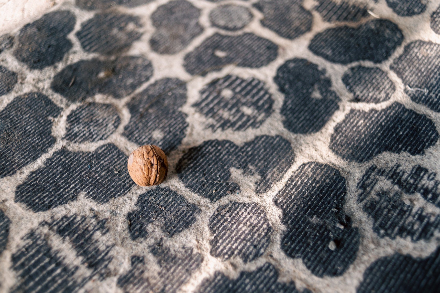 A single walnut on a faded patterned rug