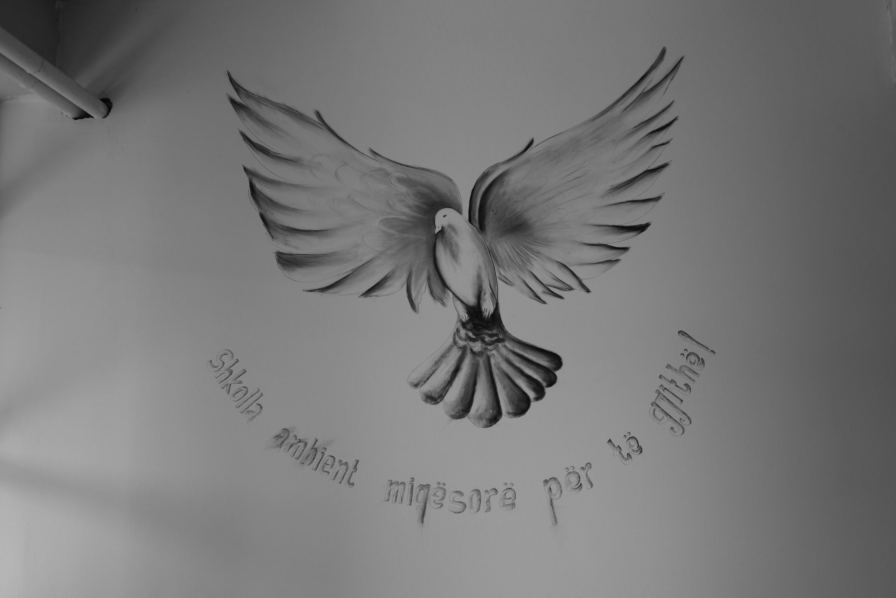 Black and white: a dove painted on a white wall above handwritten words