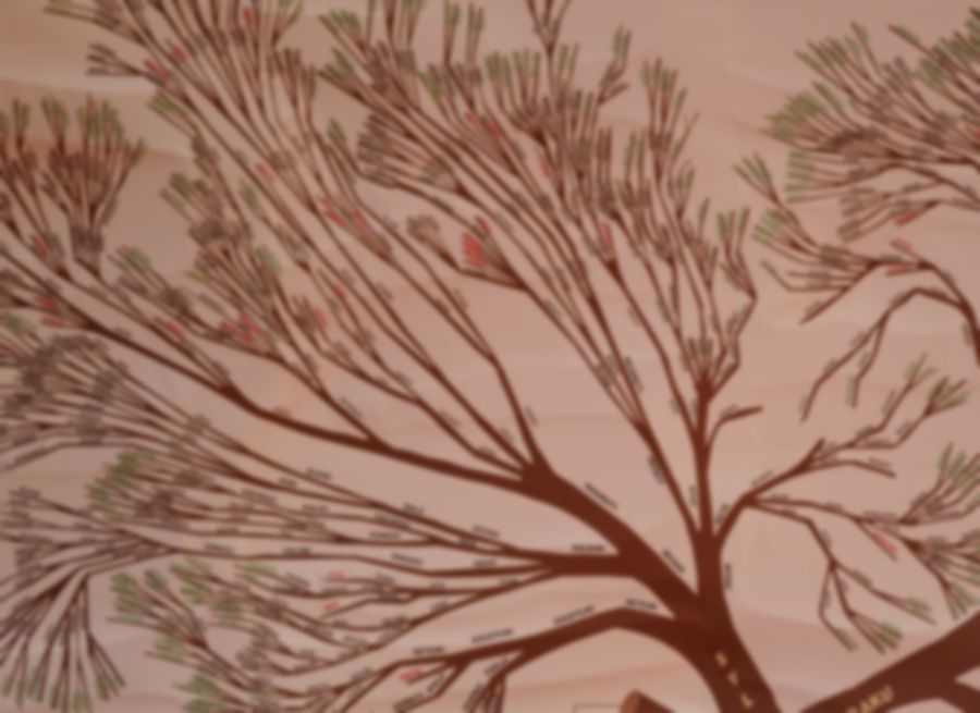 Detail of a hand-drawn family tree, its names too soft to read